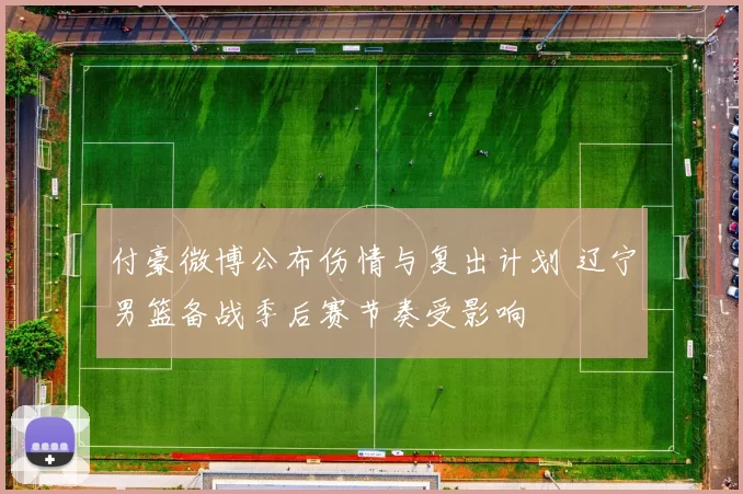 付豪微博公布伤情与复出计划 辽宁男篮备战季后赛节奏受影响