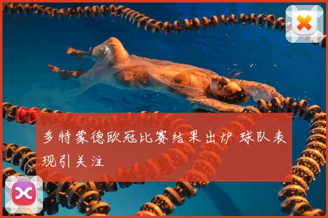 多特蒙德欧冠比赛结果出炉 球队表现引关注