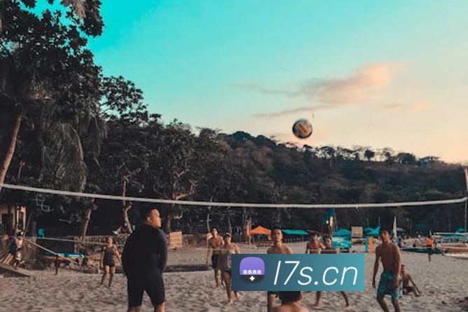 App Interface Preview